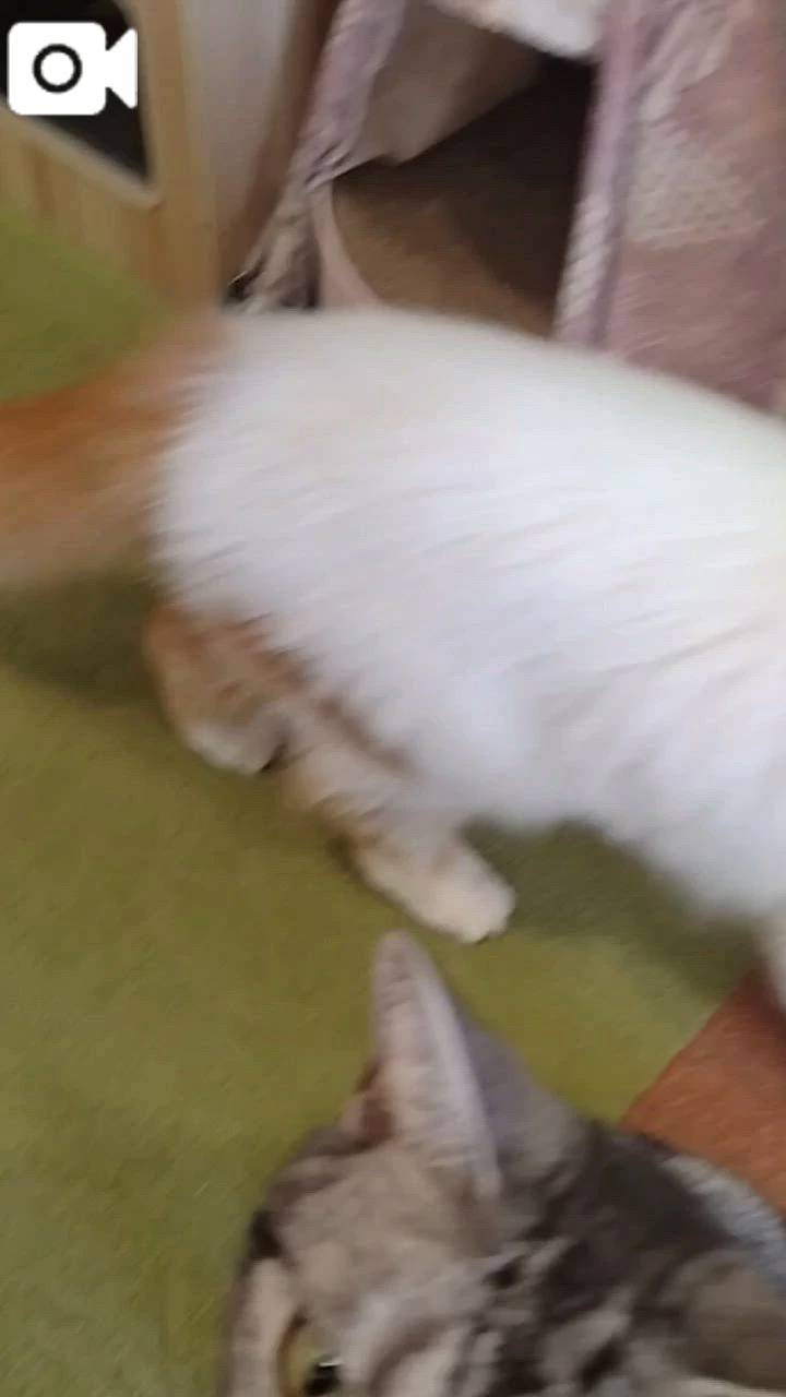 ほっとひと息😻