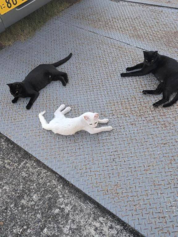 受け付け終了😊