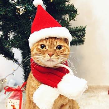 おやすみなさい