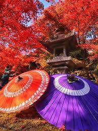 予想最高気温は昨日と同じ10℃