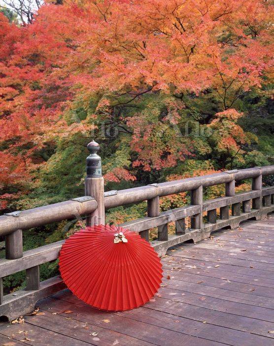 さゆり　　指名料無料中