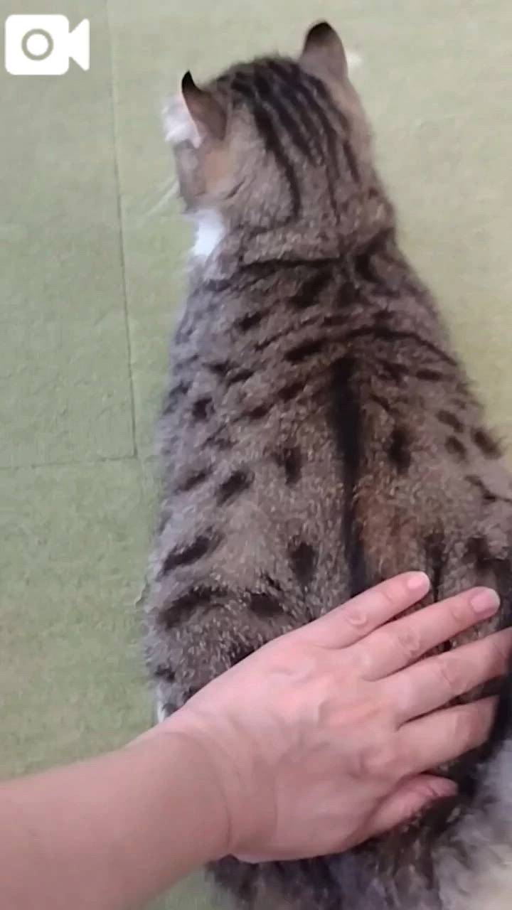 ほっとひと息😻