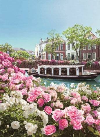 さゆり　　指名料無料中