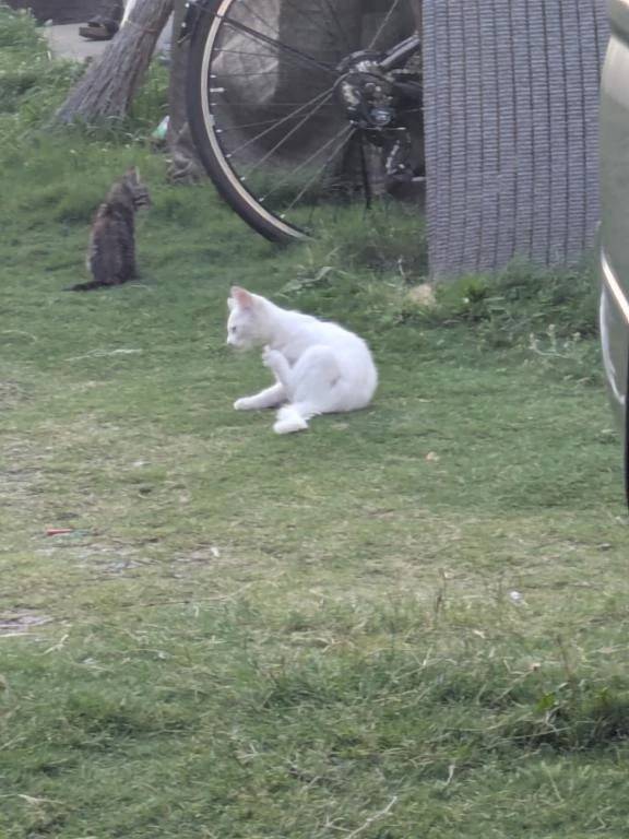 受け付け終了🥹