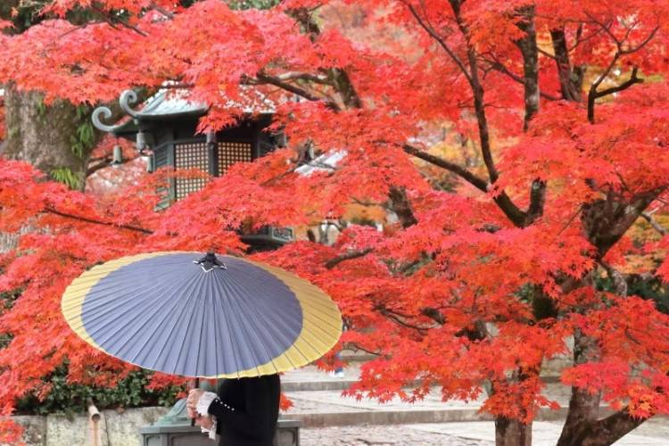 本日も宜しくお願いいたします