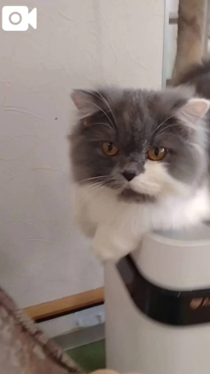 ほっとひと息😻