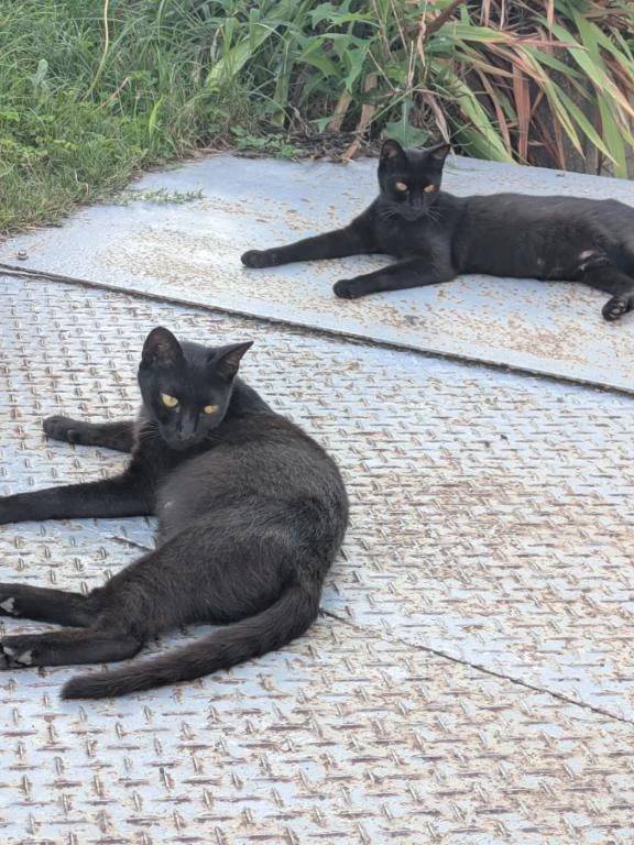 受け付け終了😘