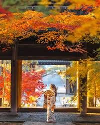 お休みさせていただきます