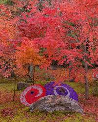 予想最高気温は１３℃