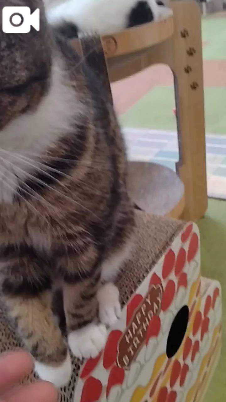 ほっとひと息😻