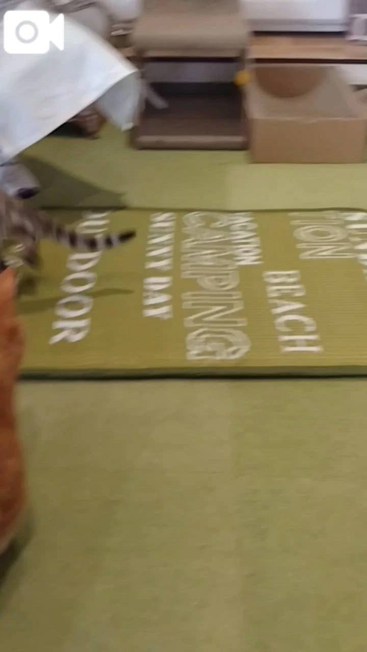 ほっとひと息😻