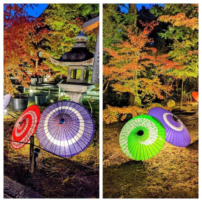 １２月になって３回目の水曜日