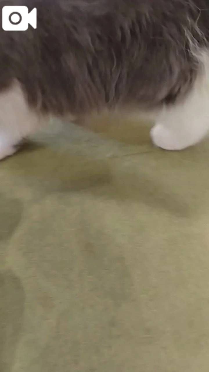 ほっとひと息😻