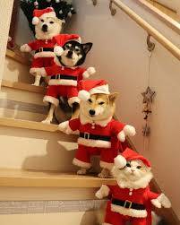 ありがとうございました