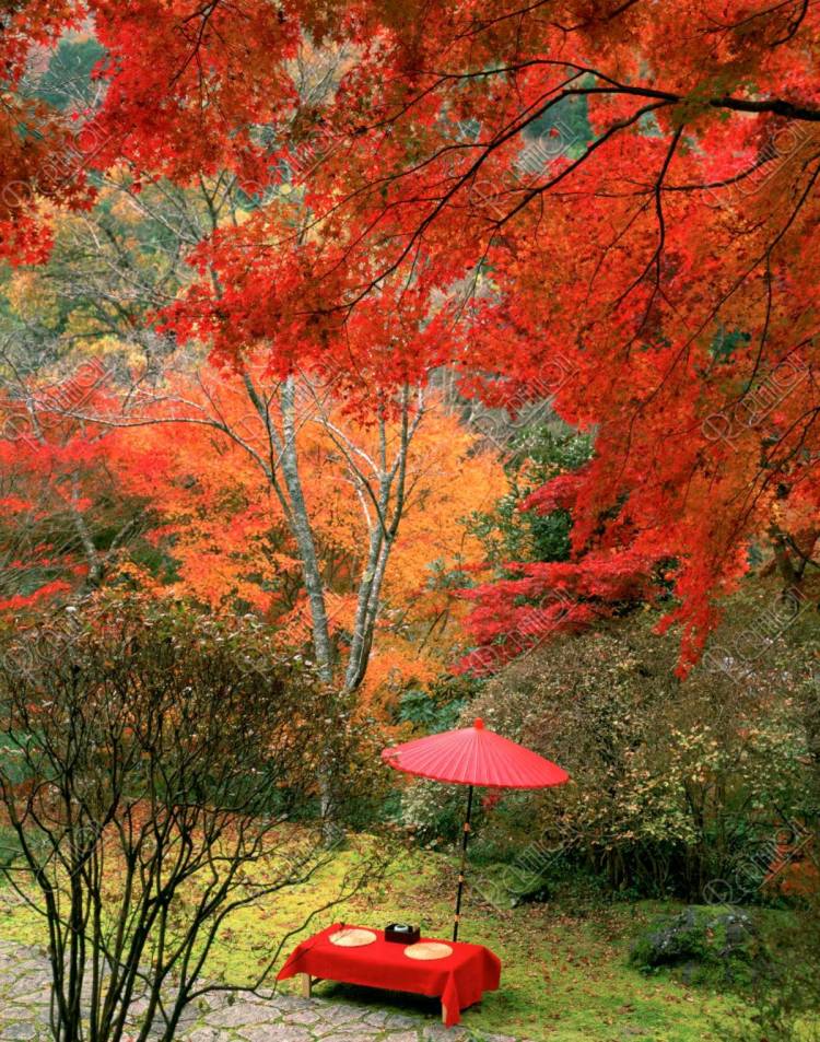 １２月になって３回目の木曜日