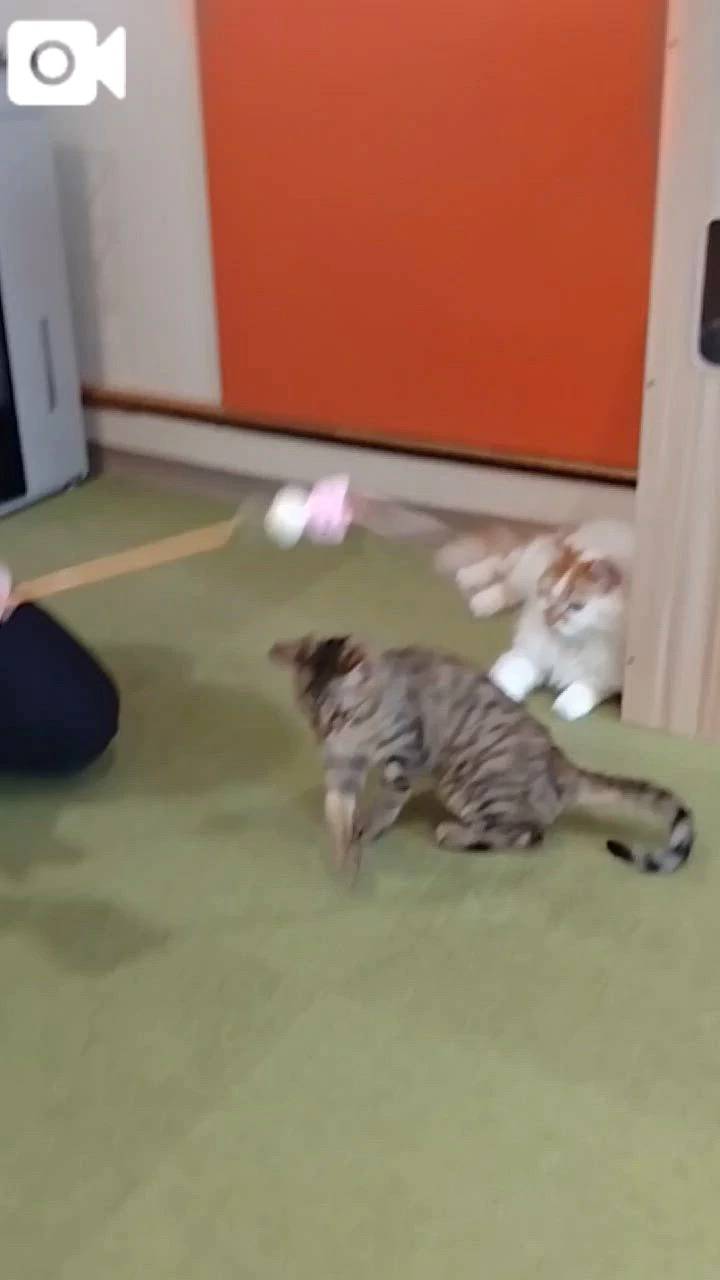 ほっとひと息😻