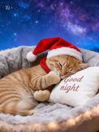 おやすみなさい