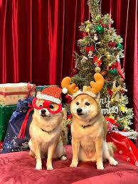 お休みさせていただきます