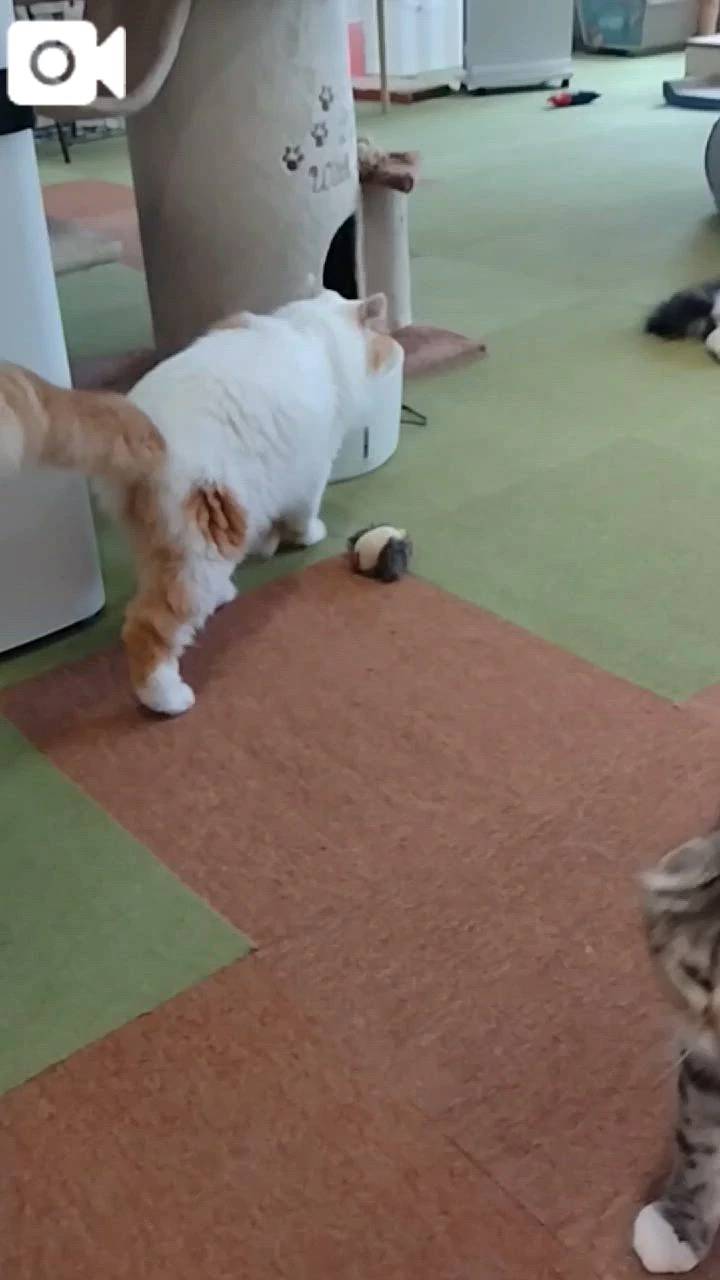 ほっとひと息😻