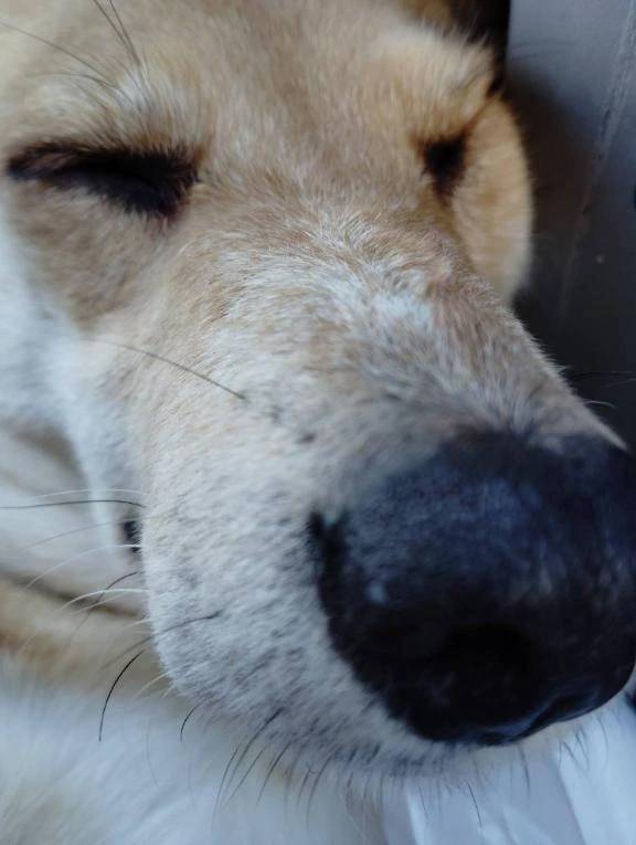 こんばんは🌃😊😊