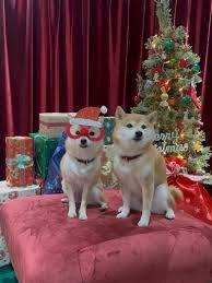 １２月になって３回目の土曜日