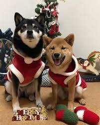 予想最高気温は１６℃