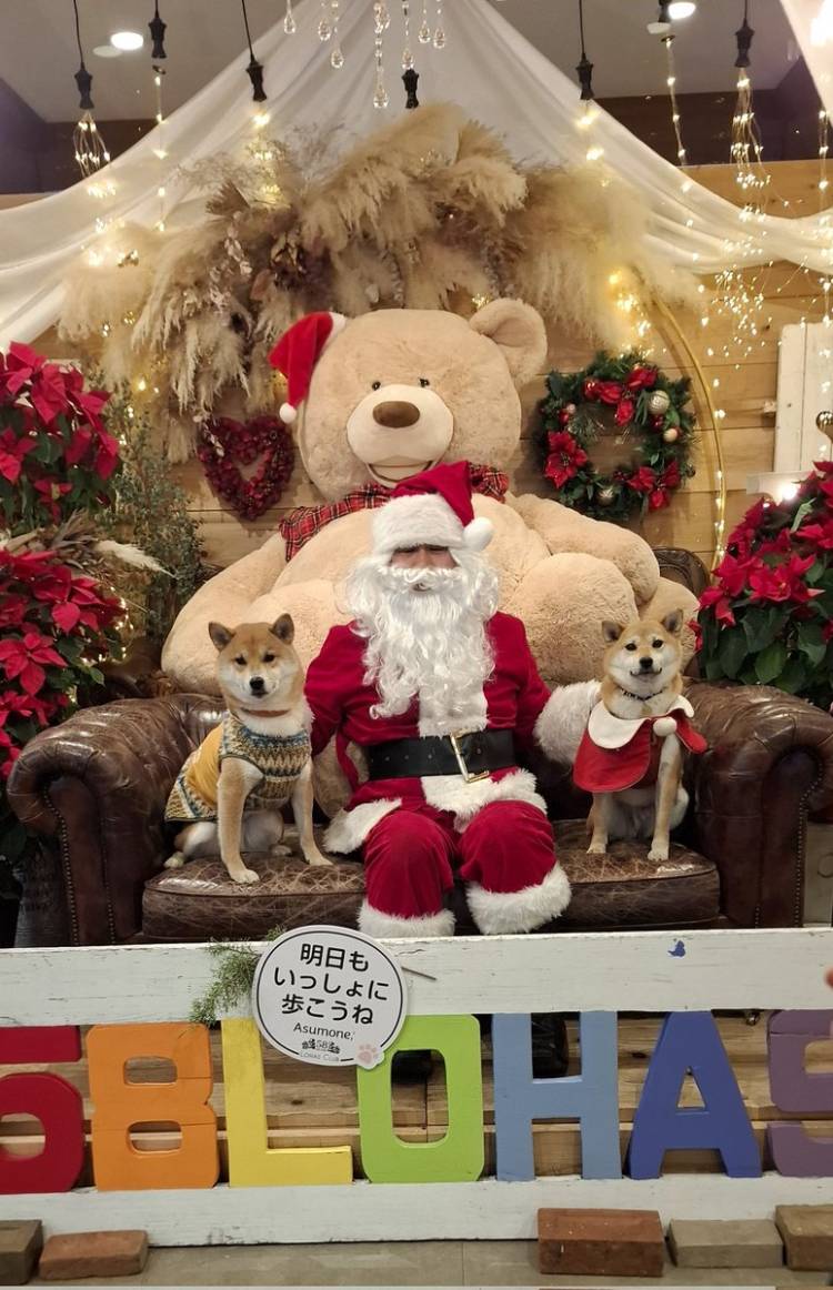 本日も宜しくお願いいたします