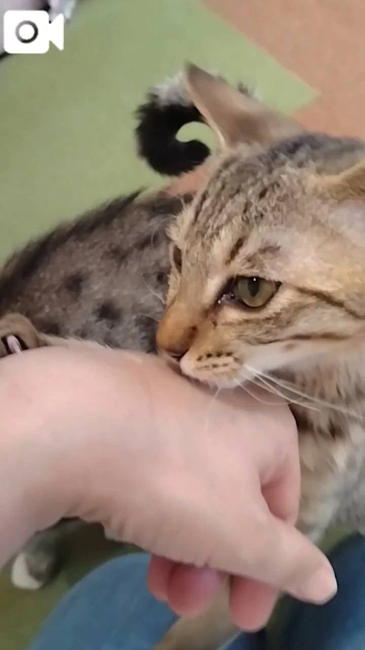 ほっとひと息😻