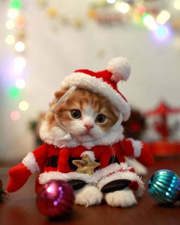 お疲れ様でした