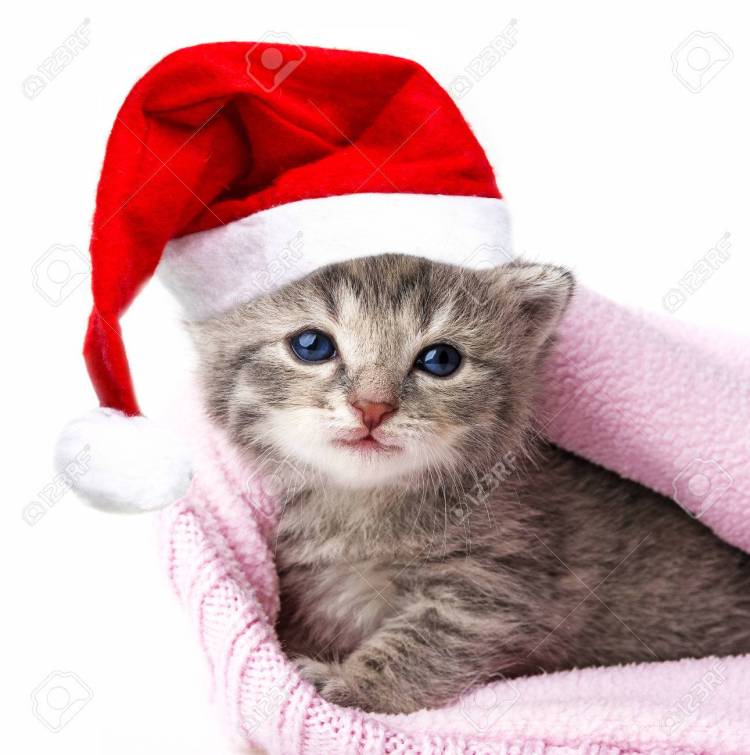 おやすみなさい