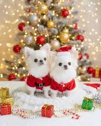 １２月になって３回目の日曜日