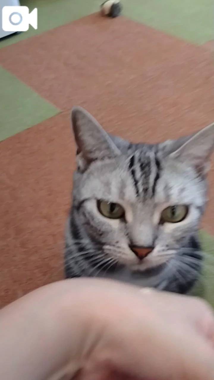 ほっとひと息😻