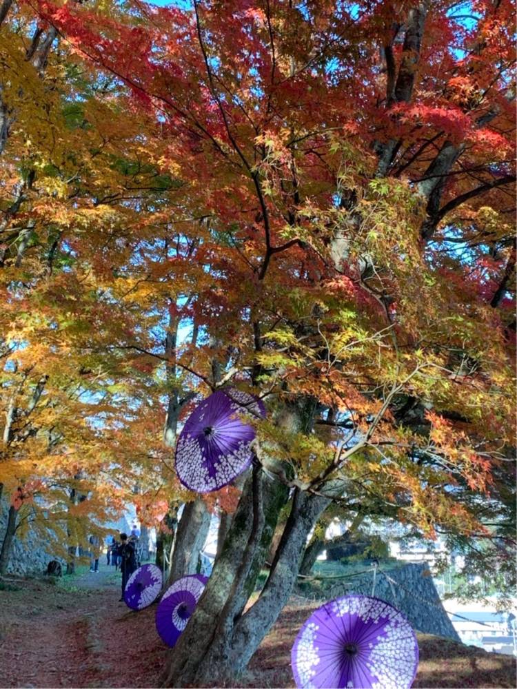 初めましてのＫ様に感謝～です