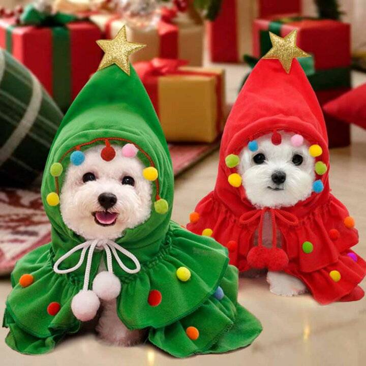 ありがとうございました