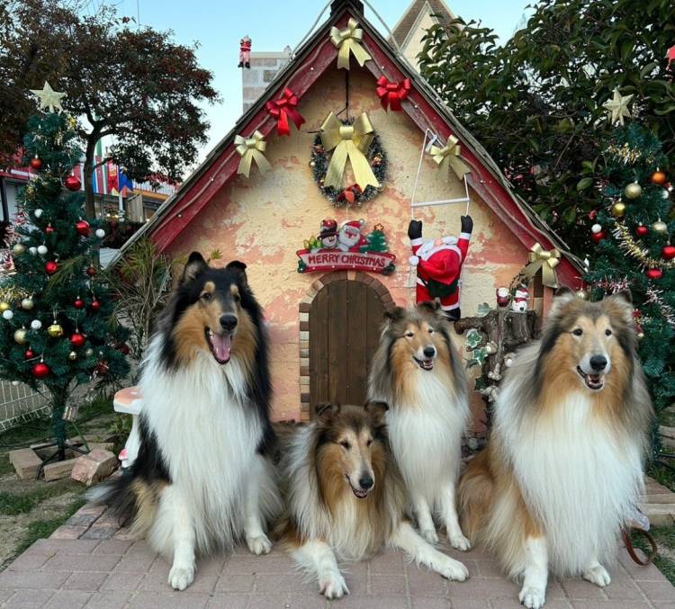 予想最高気温は１１℃