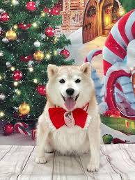 予想最高気温は１２℃