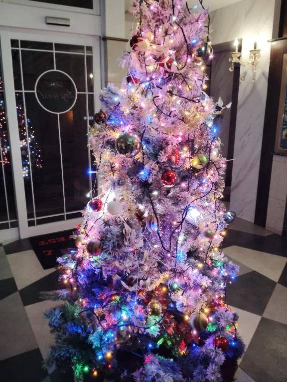 クリスマスツリー🎄🎄