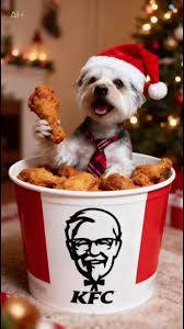 本日も宜しくお願いいたします