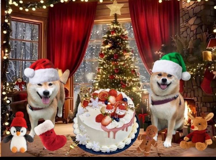 予想最高気温は12℃