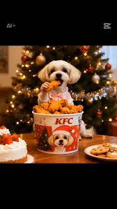 予想最高気温は１３℃