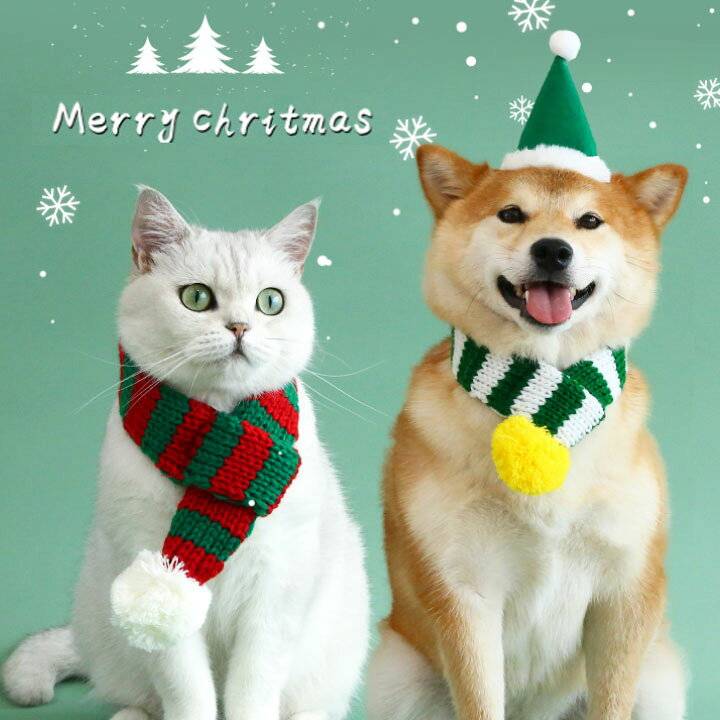 おやすみなさい