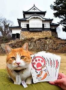 今年最後の土曜日