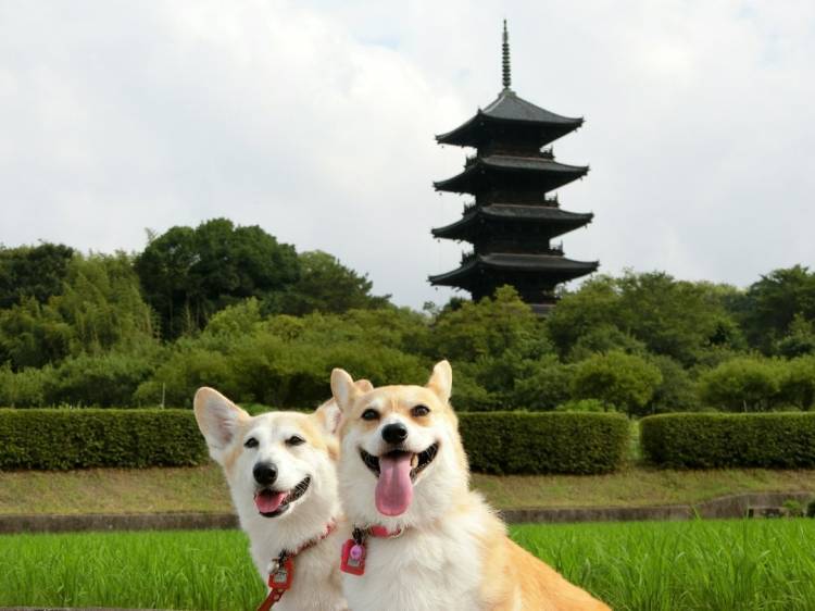 予想最高気温は９℃