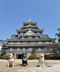 本日も宜しくお願いいたします
