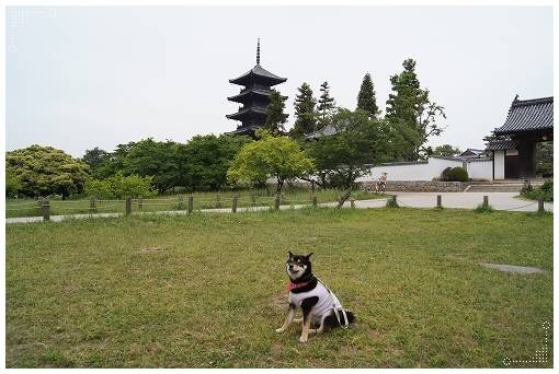 本日も宜しくお願いいたします