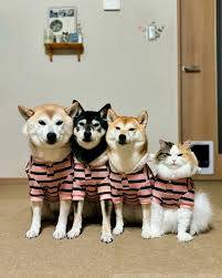 ありがとうございました