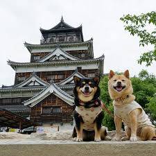 本日も宜しくお願いいたします