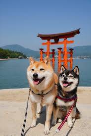 本日も宜しくお願いいたします