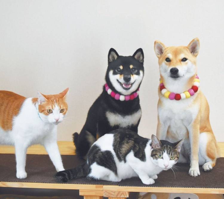 ありがとうございました