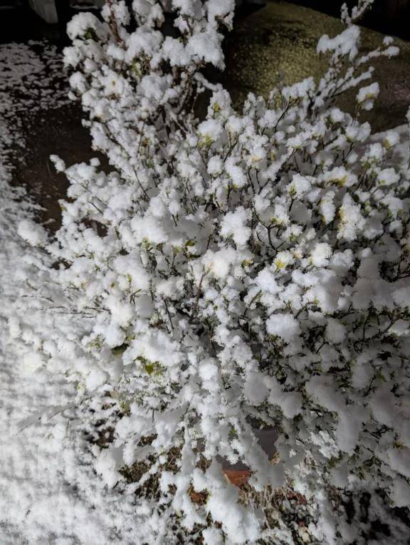 雪ヤベ〜(⁠´⁠⊙⁠ω⁠⊙⁠`⁠)⁠！